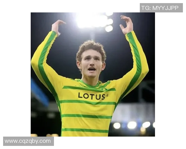 诺维奇与莱斯特城对决前瞻分析及双方近期状态评估