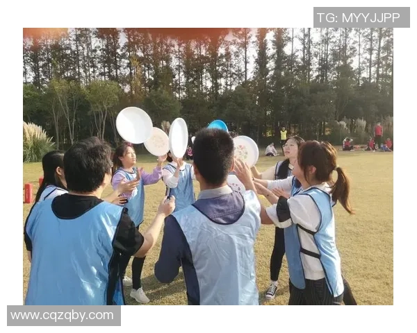 飞盘热潮下的上海飞盘队团队协作新模式探索与实践MBA