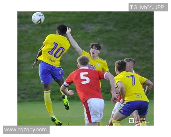 雷丁与伯明翰足球队历史交锋记录分析与战绩回顾